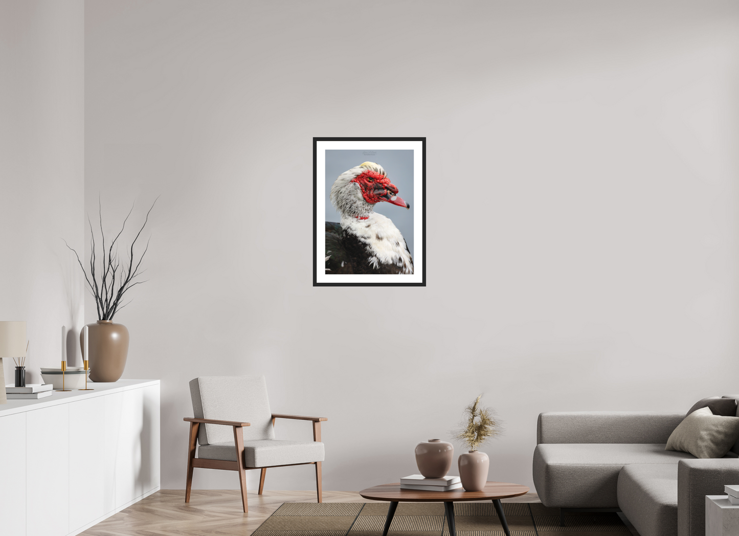 20 x 28″, Classic Black Matte Wood Frame (08S) Male Muscovy Duck Portrait