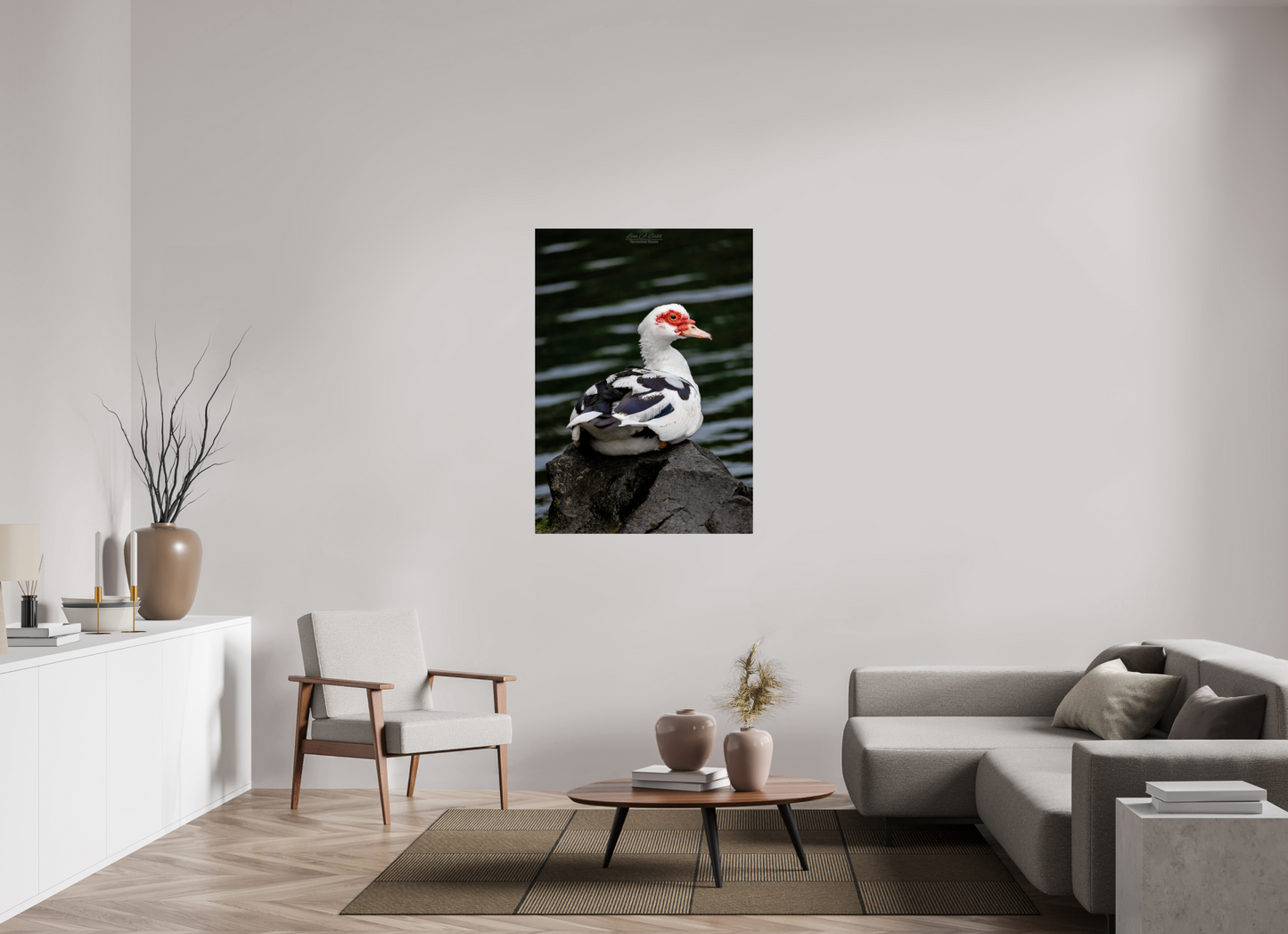 35 x 49″, Print with Aluminum Backing and Glossy Lamination (08T) Female Muscovy Duck Portrait