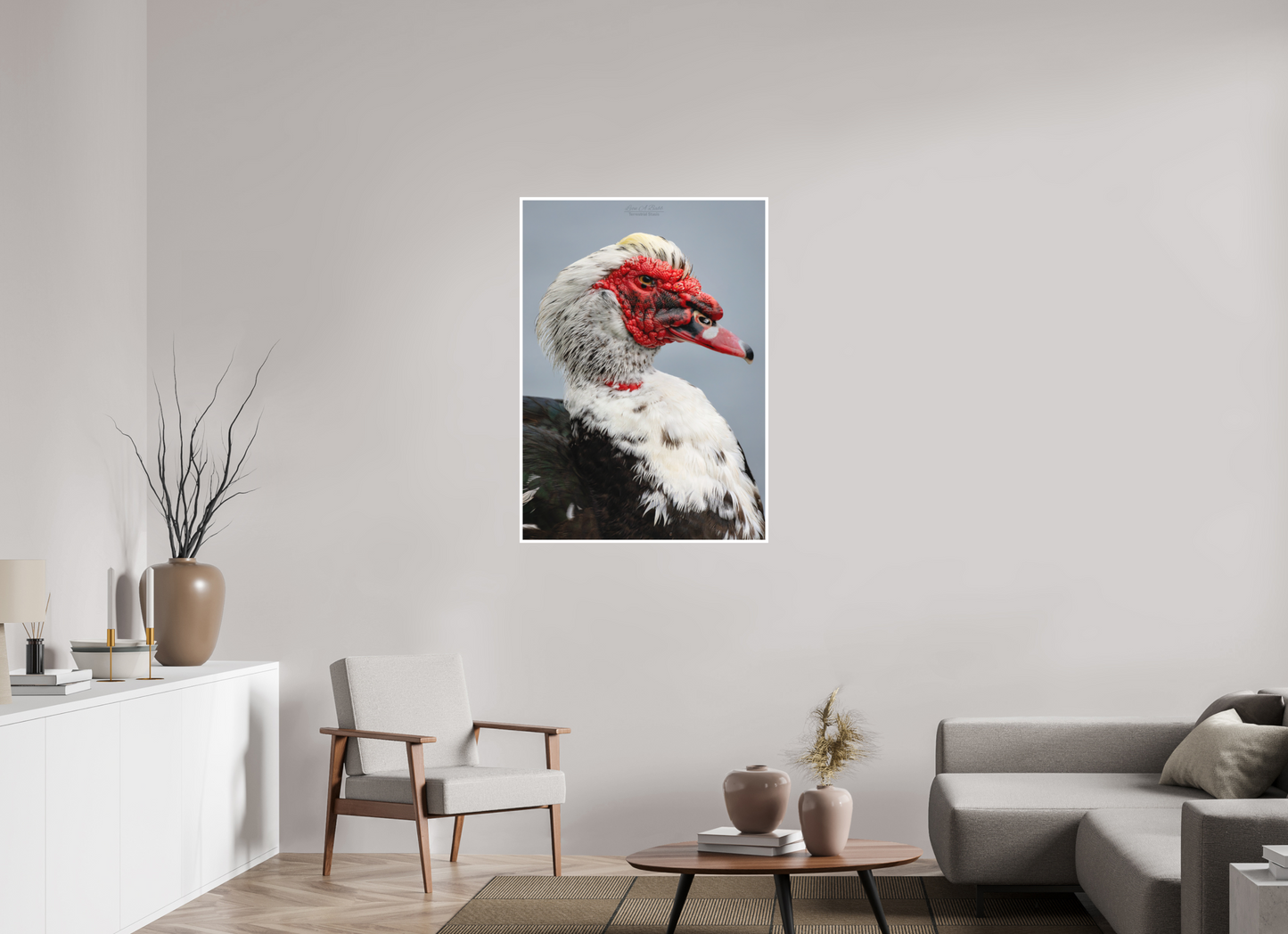 31 x 43.4″, Print with Matte Lamination (08S) Male Muscovy Duck Portrait