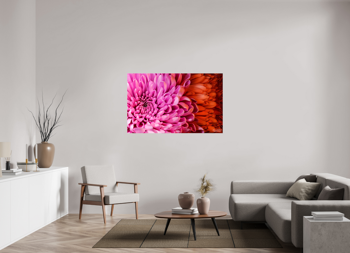 56 x 35″, Glossy Canvas Stretcher Frame with Mirrored Edges ??