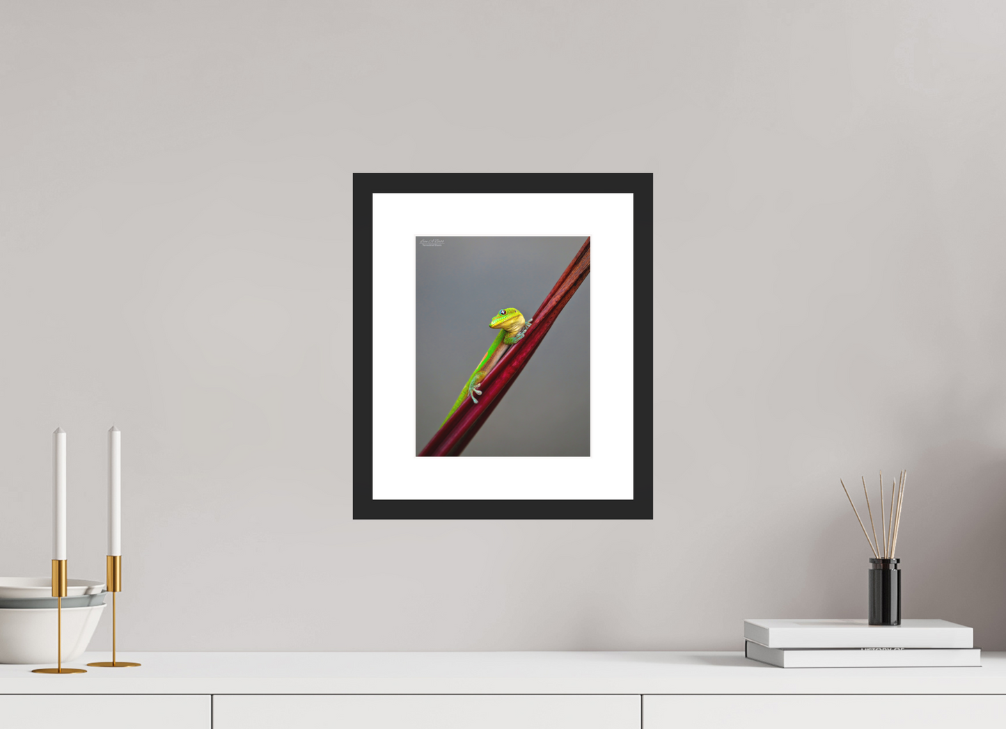 8 x 10″, Classic Black Matte Wood Frame (08R) Focused Stare