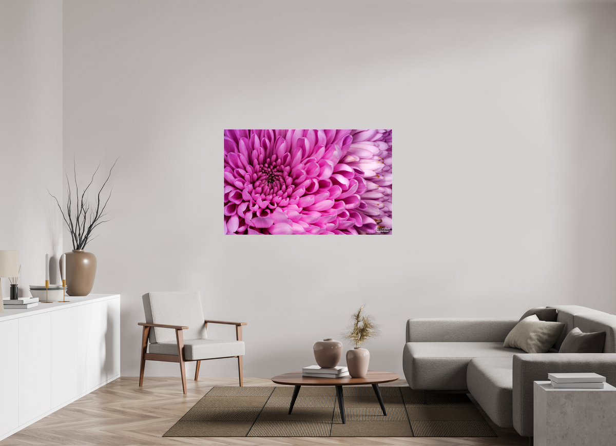 56 x 35″, Glossy Canvas Stretcher Frame with Mirrored Edges ???