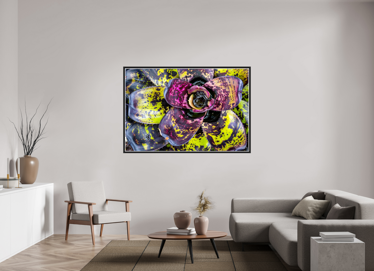 66 x 44″, Black Matte Floater Frame with Acrylic Glass (07B) Colorful Plant