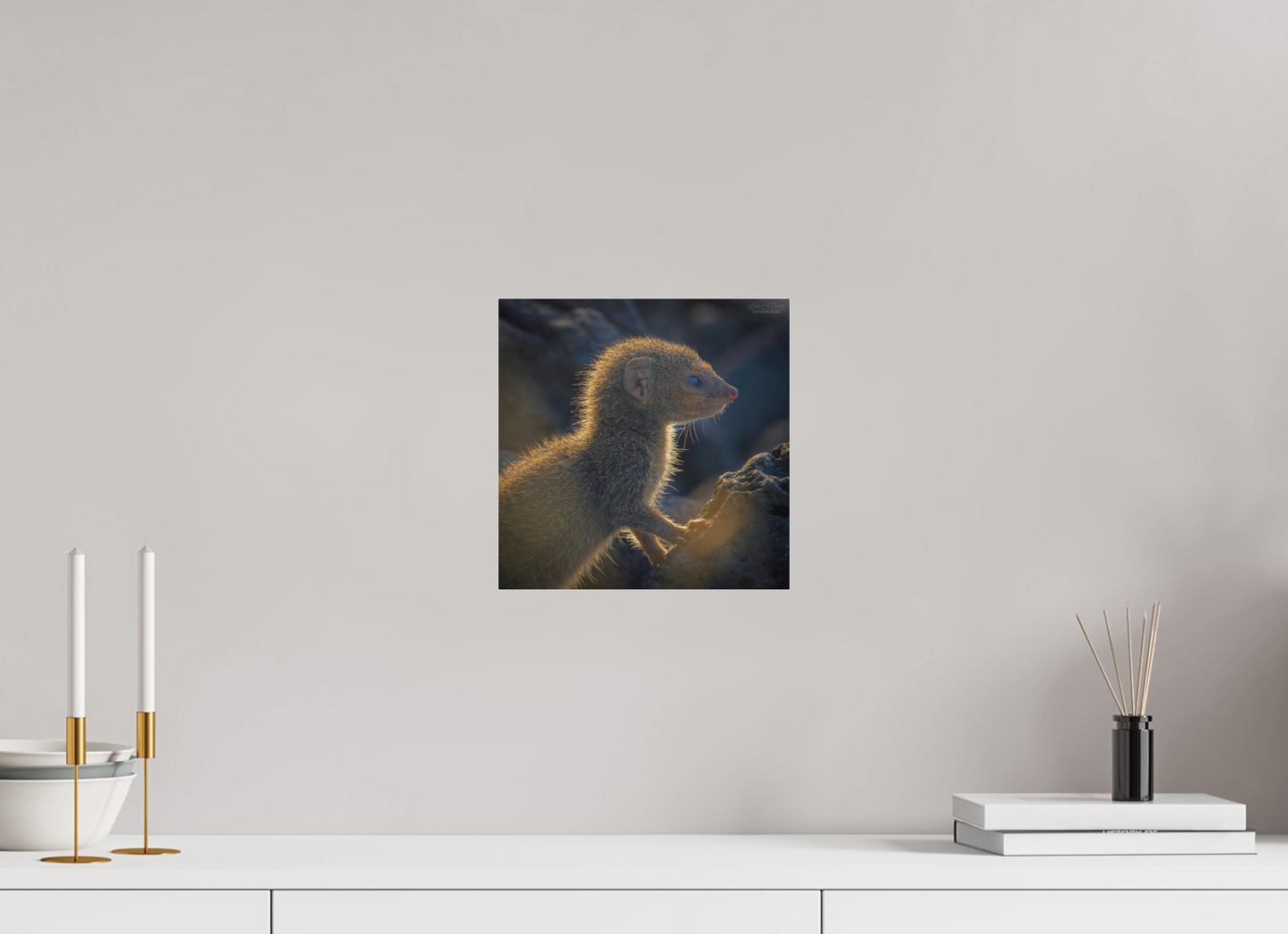 10 x 10″, Photo Print Under Acrylic Glass (08J) First Watch