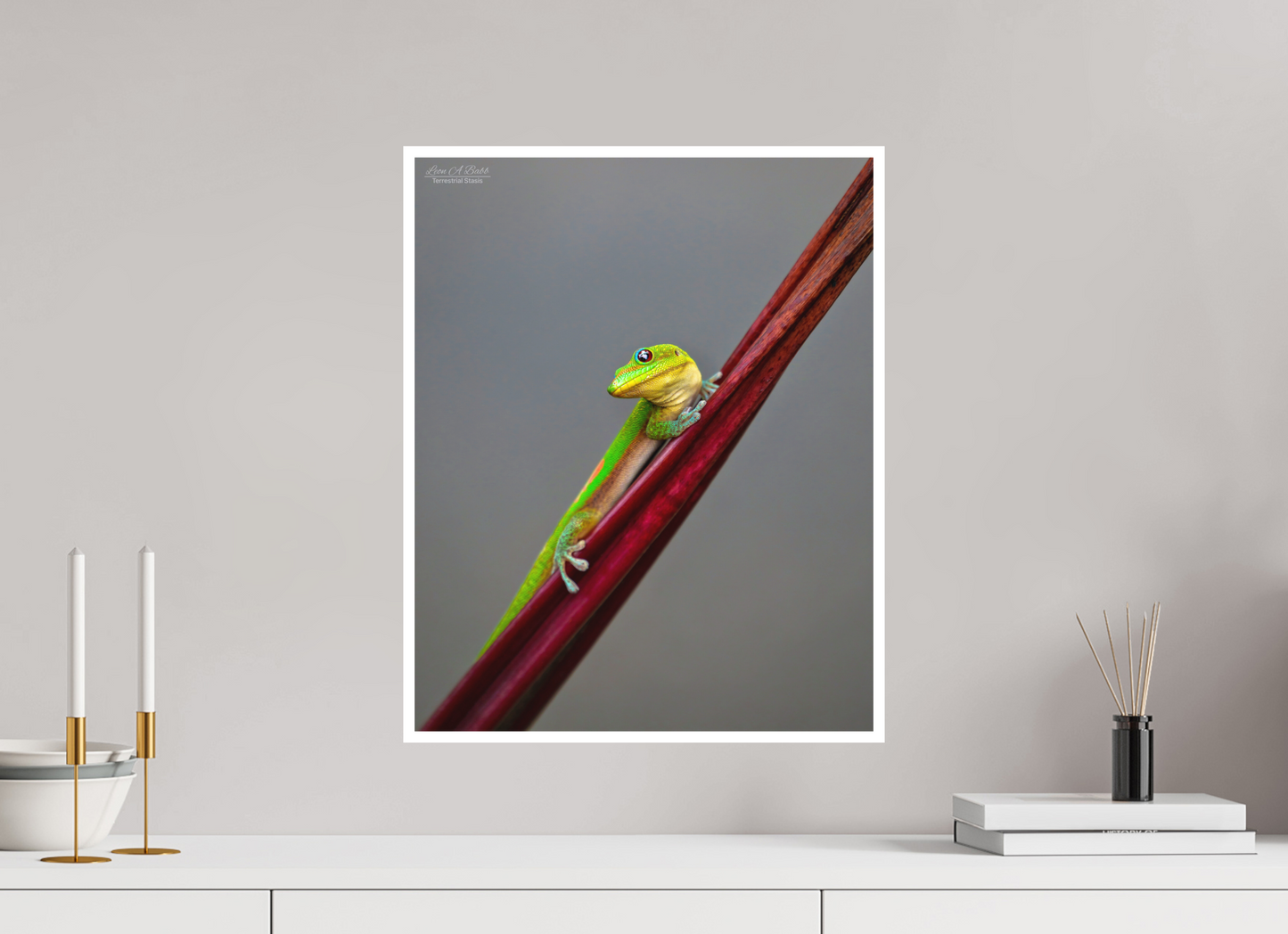 16 x 20″, Print with Matte Lamination (08R) Focused Stare