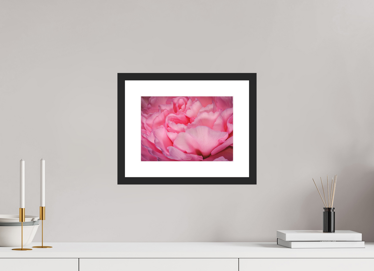 11.2 x 8″, Classic Black Matte Wood Frame Radiant Pink Petals