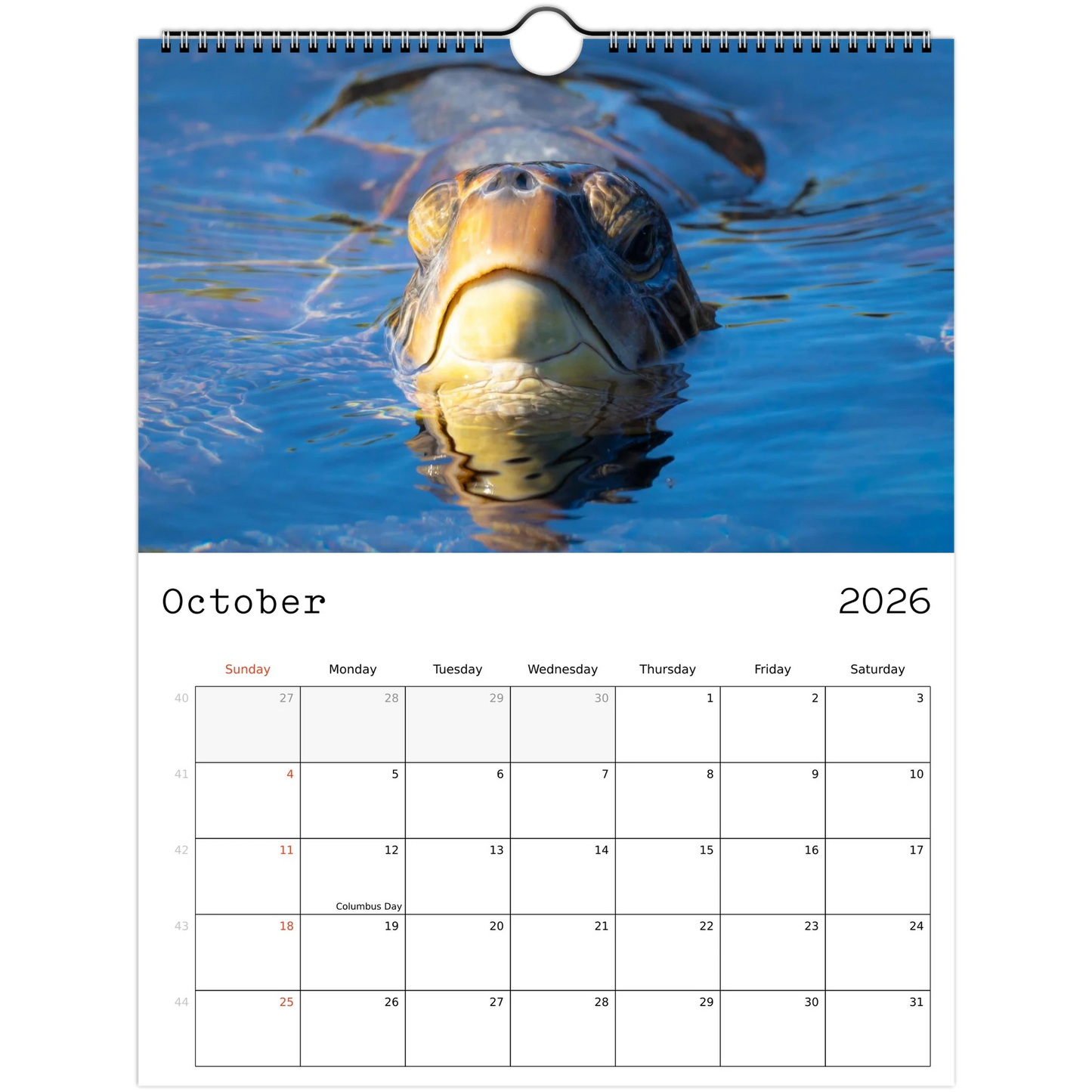 fcfb71ac-94a3-49d5-be83-1f9bfad606ae