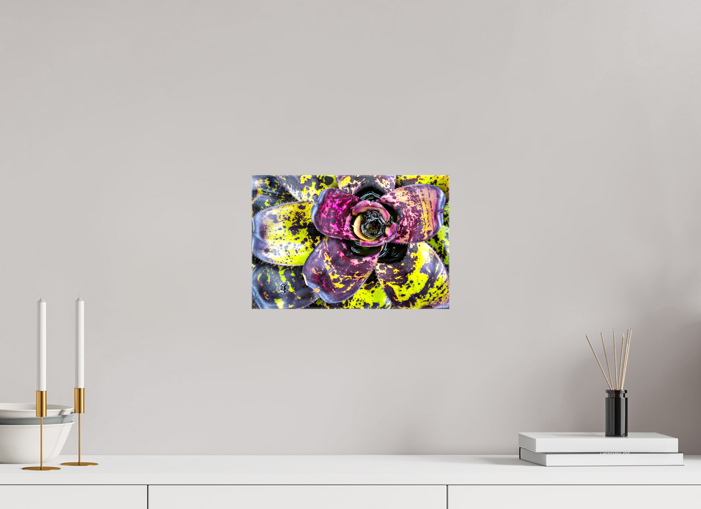 12 x 8″, Glossy Canvas (07B) Botanical Radiance