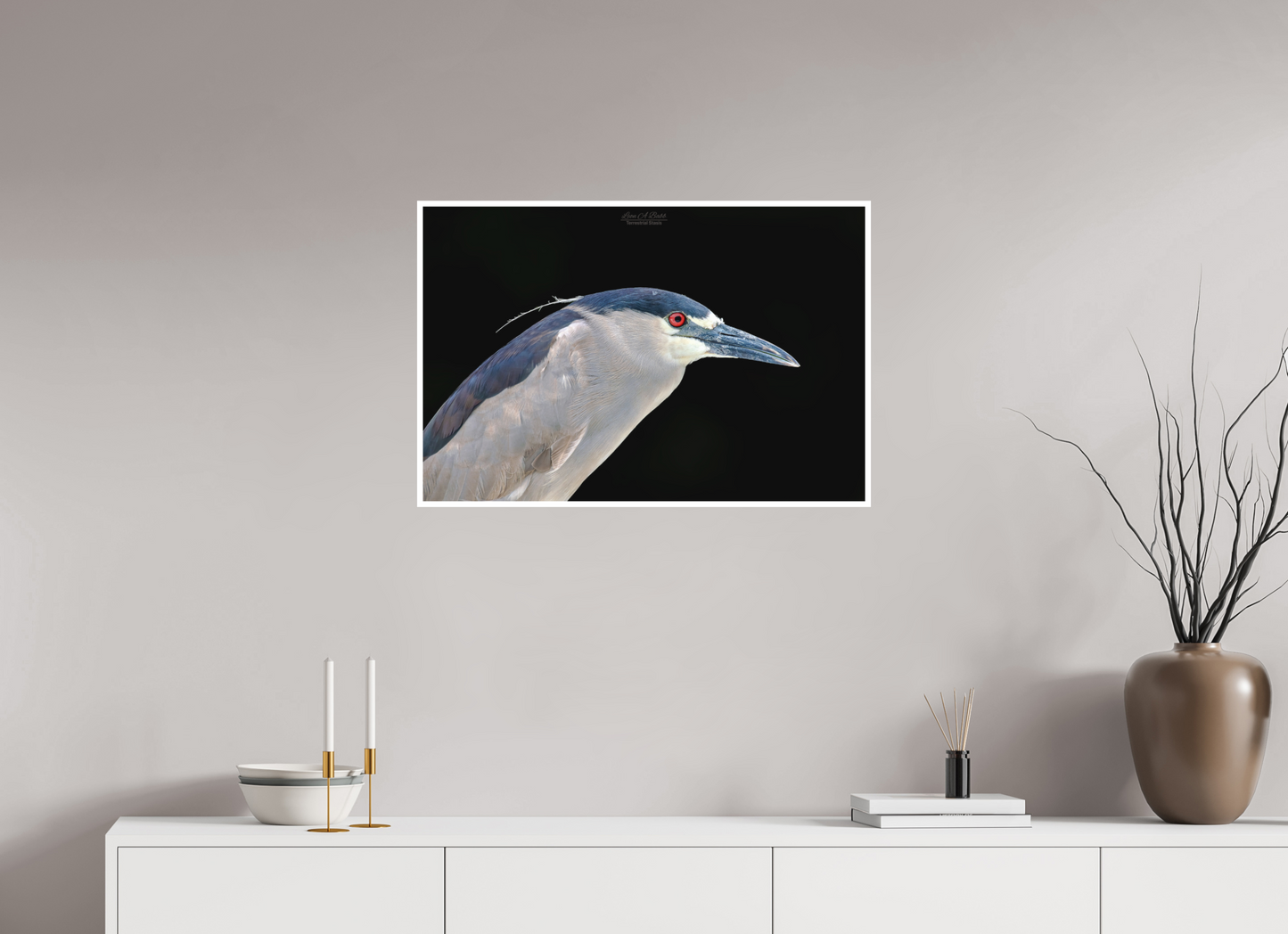 30 x 20″, Photo Print with Matte Lamination (08B) Black-crowned Night Heron