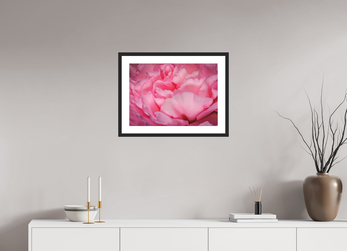 22.4 x 16″, Classic Black Matte Wood Frame Radiant Pink Petals