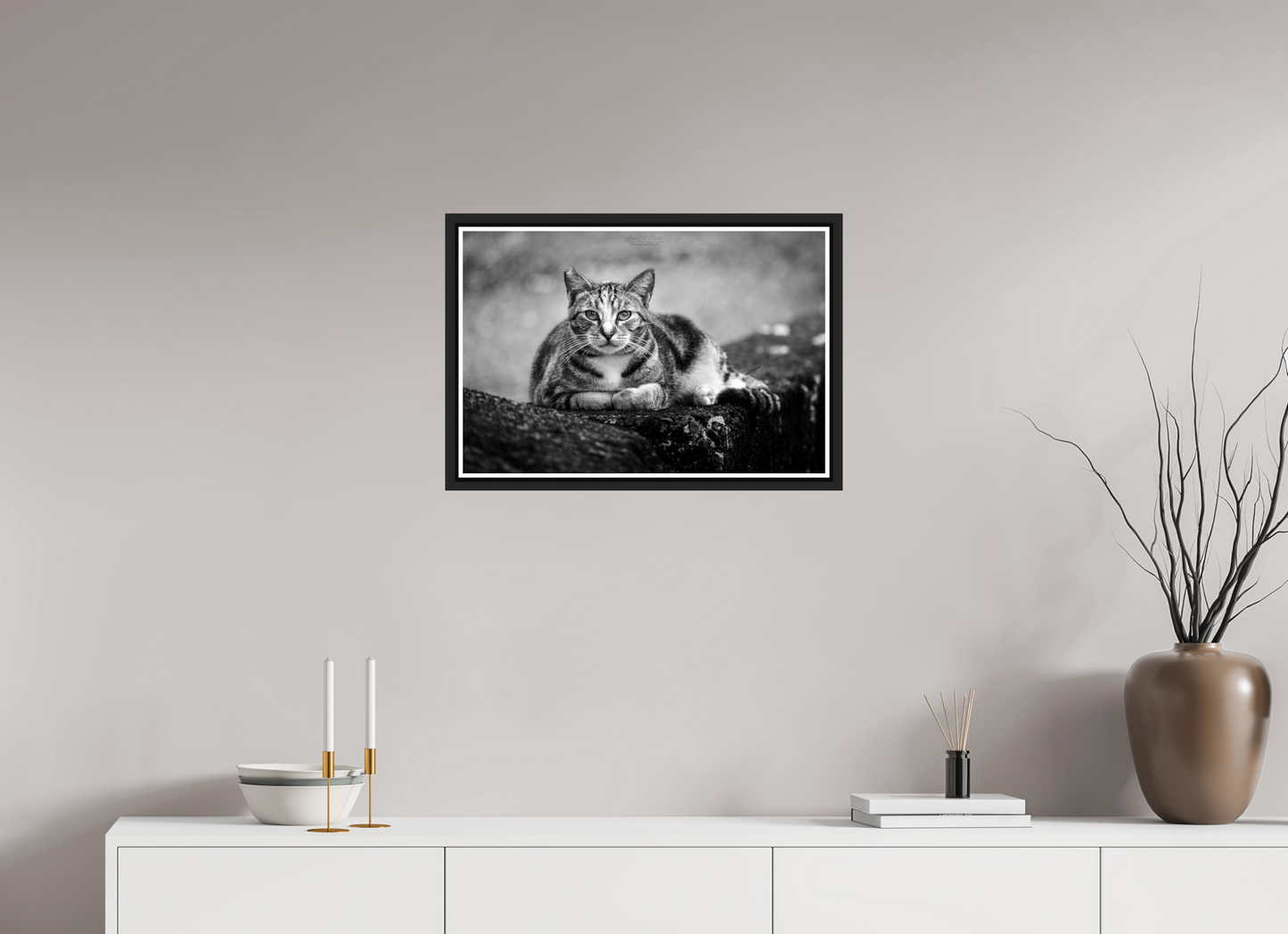 24 x 16″, Black Matte Floater Frame with Acrylic Glass (08G) Hawaii Strays in BnW