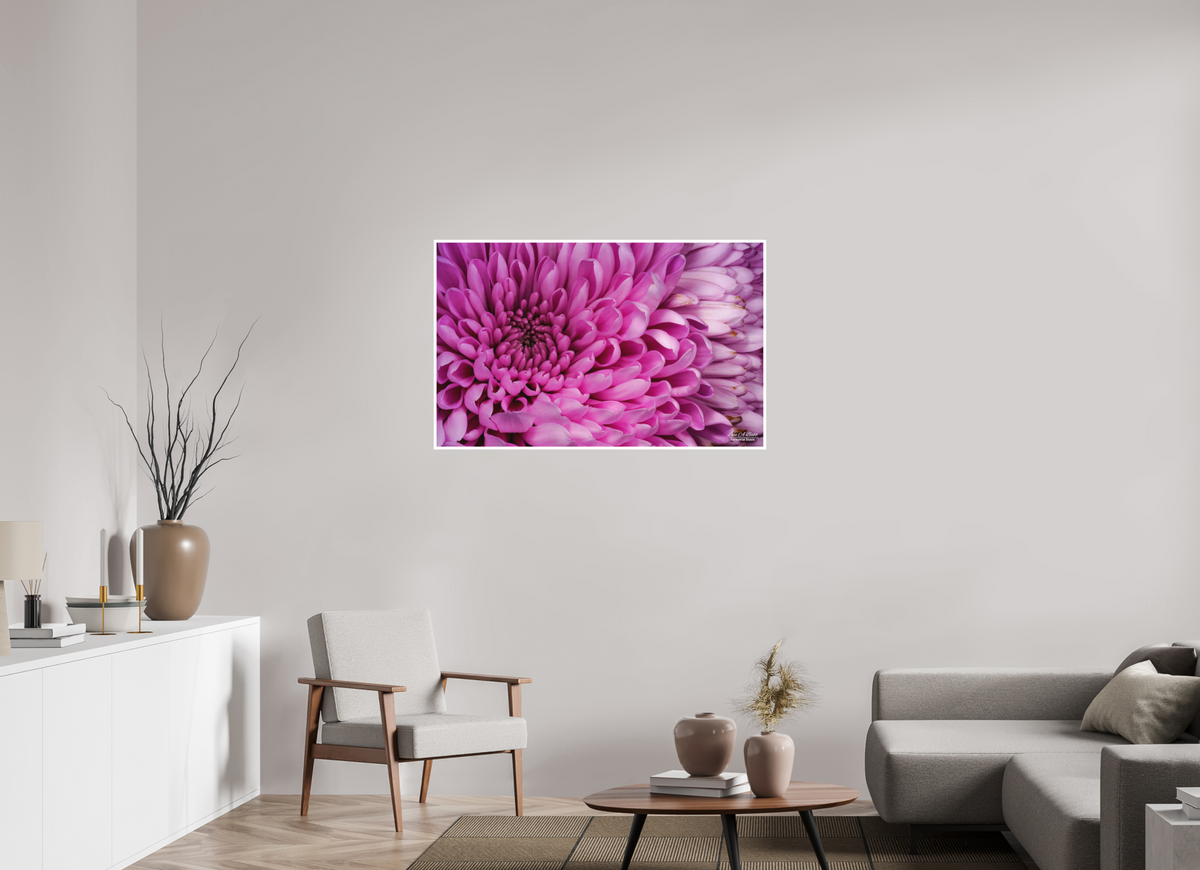 44.8 x 28″, Print with Matte Lamination ???