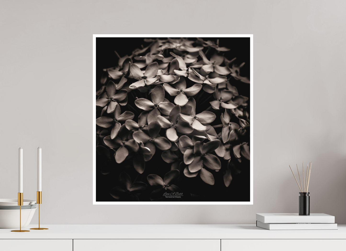 20 x 21.3″, Photo Print with Matte Lamination (07D) Monochrome Garden