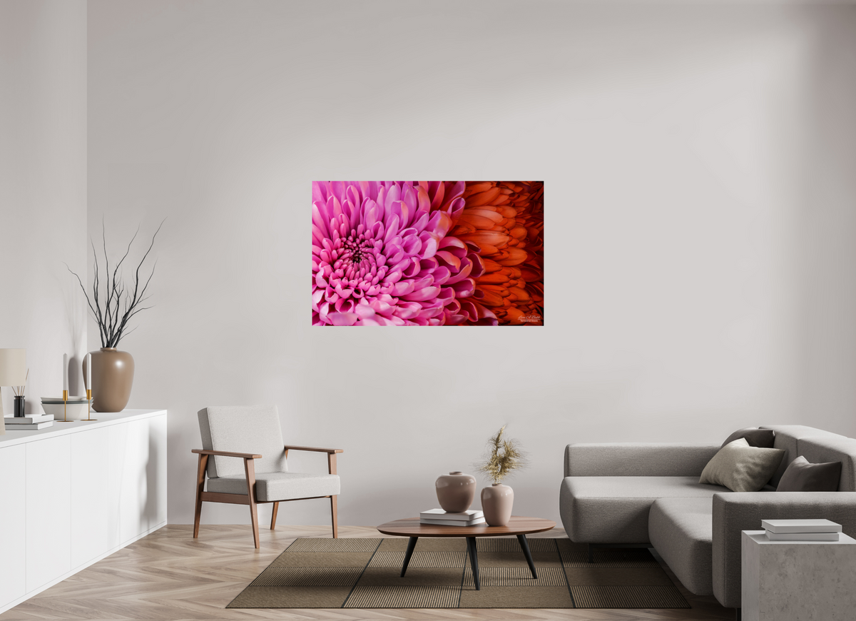 56 x 35″, Print with Aluminum Backing and Glossy Lamination ??