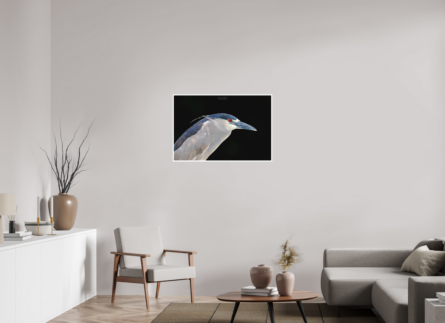 36 x 24″, Photo Print with Matte Lamination (08B) Black-crowned Night Heron