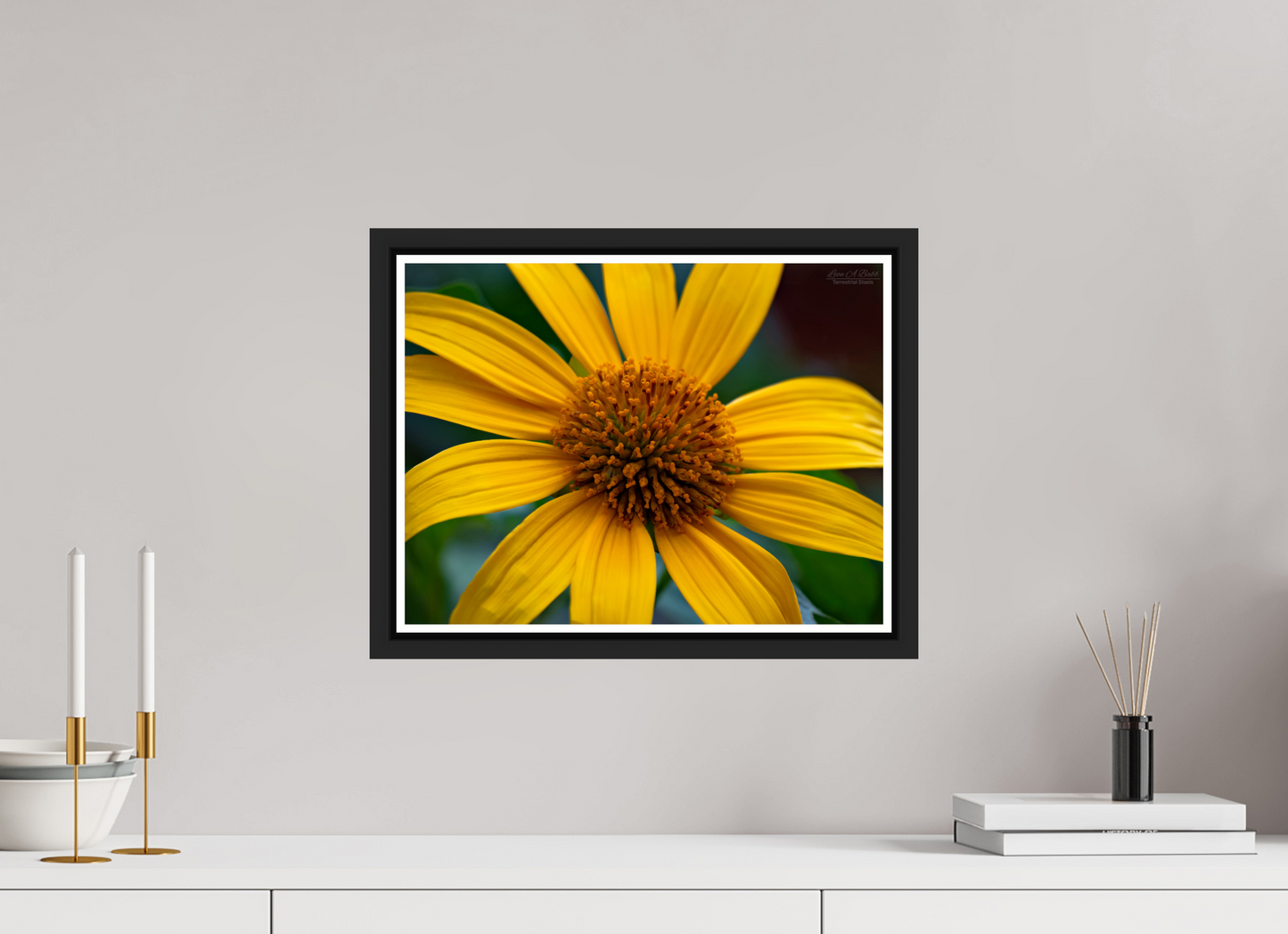 16 x 12″, Black Matte Floater Frame with Acrylic Glass (07A) Yellow Flower